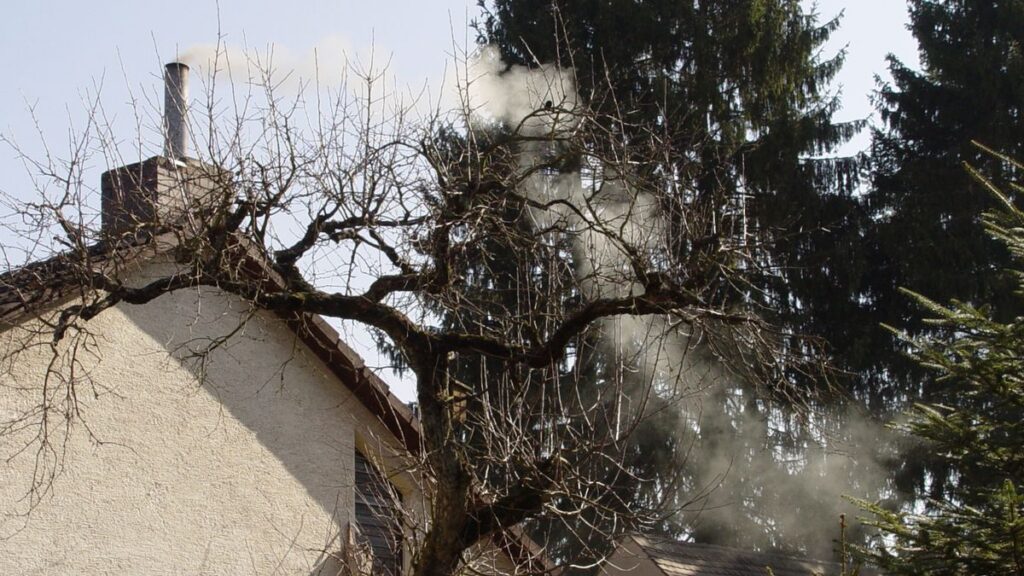 Humo blanco que sale de la chimenea de una casa entre las ramas de un árbol sin hojas y unos abetos.